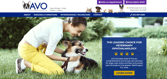 EZMarketing Develops Website for Armour Veterinary Ophthalmology